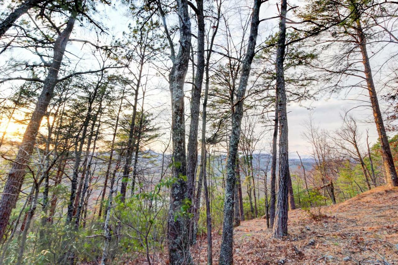 Misty View Cabin Hatchertown ภายนอก รูปภาพ